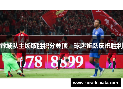 蓉城队主场取胜积分登顶，球迷雀跃庆祝胜利